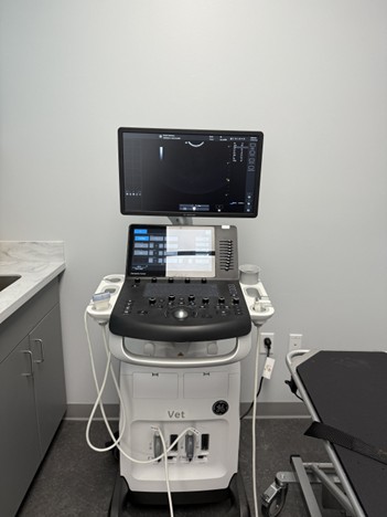 Diagnostic imaging machine